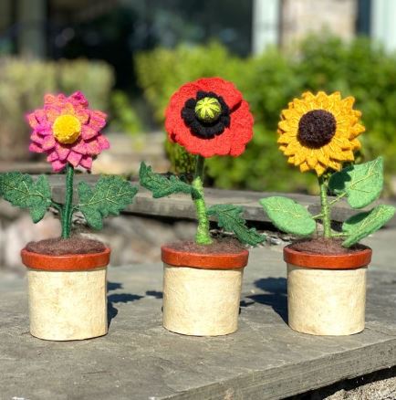 Blossom Potted Plant - 3 Styles