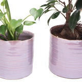 Channa Japanese Planter - 2 Colors