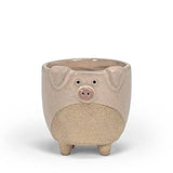 Small Pig Planter
