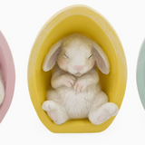 Baby Bunnies in Easter Eggs - 3 Styles