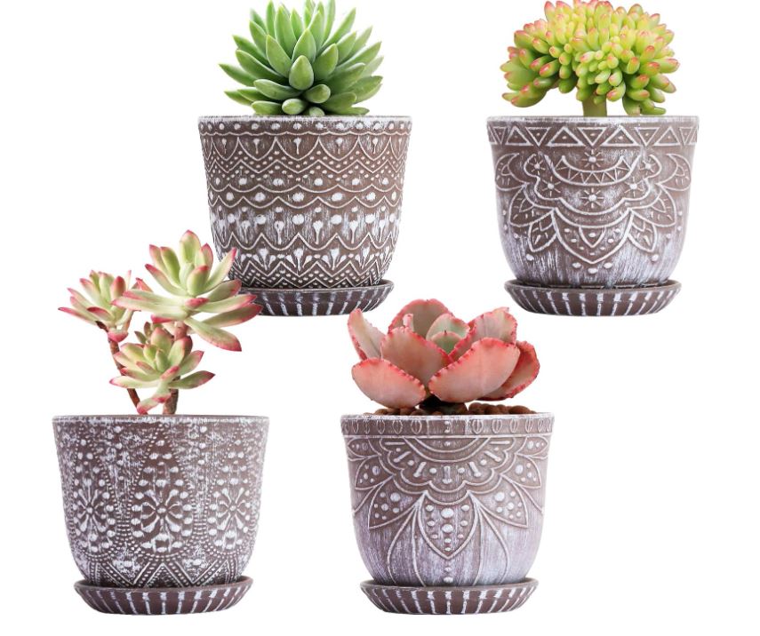 Planter Pot with Drainage Holes and Saucers