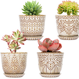 Beaded Ceramic Planter - 2 Colors/2 Sizes