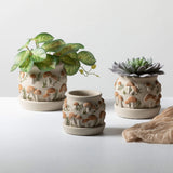 Organic Mushroom Planter - 3 Sizes