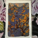 Dr Franken Sara Prints - 17 Styles/2 Sizes