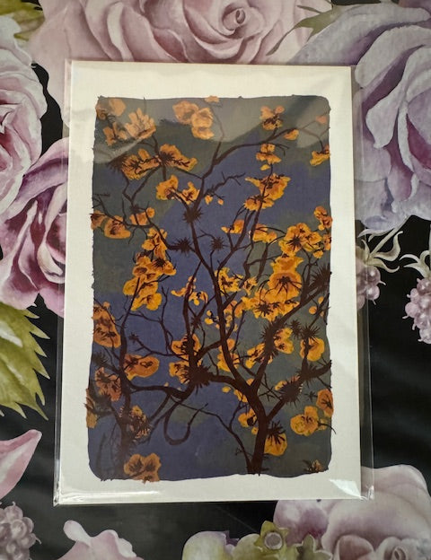 Dr Franken Sara Prints - 17 Styles/2 Sizes