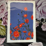 Dr Franken Sara Prints - 17 Styles/2 Sizes