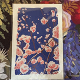 Dr Franken Sara Prints - 17 Styles/2 Sizes