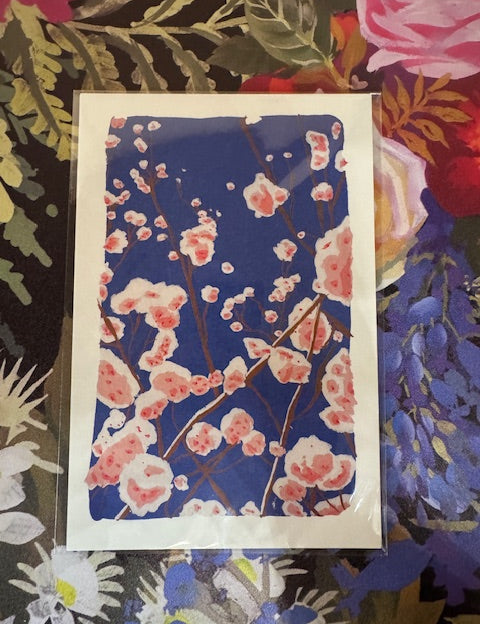 Dr Franken Sara Prints - 17 Styles/2 Sizes
