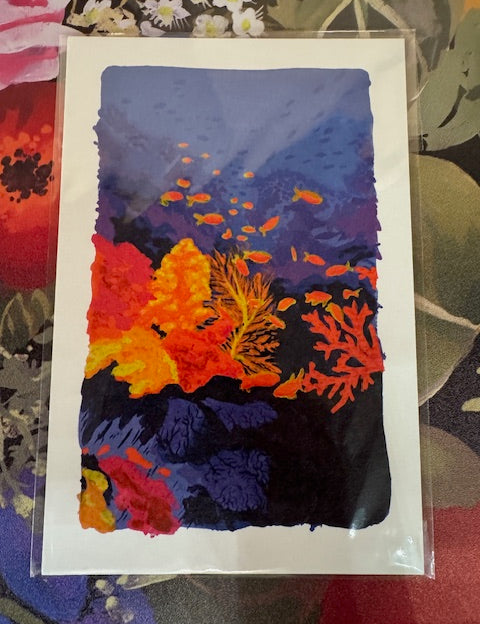Dr Franken Sara Prints - 17 Styles/2 Sizes