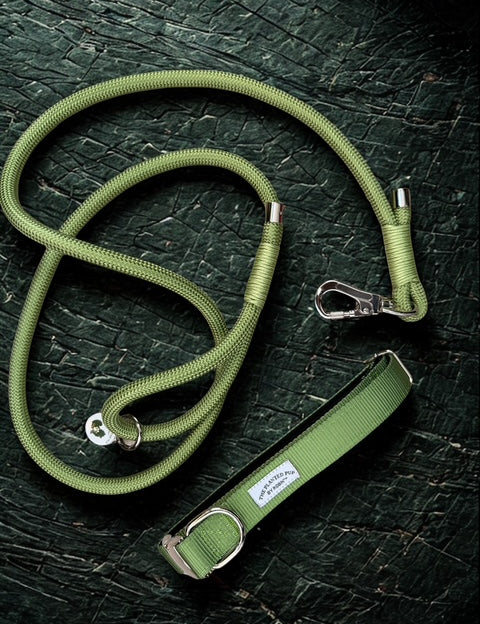 The Planted Pup Planted Leash - 2 Colors