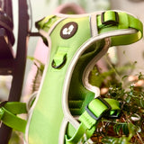 The Planted Pup Harness - 4 Sizes