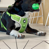 The Planted Pup Harness - 4 Sizes