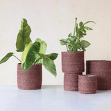 Hand-Woven Seagrass Baskets with Lining - 6 Sizes