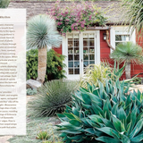 Striking Succulent Gardens