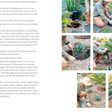 Striking Succulent Gardens