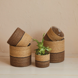 Hand-Woven Seagrass Baskets with Lining - 5 Sizes