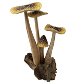 Hand Carved Wood Mushrooms - 3 Styles