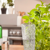 Copa Watering Aids - 2 Colors