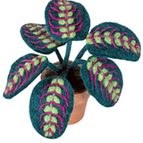 Felt Potted Prayer Plant