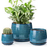 Ceramic Planters - 3 Sizes/2 Colors