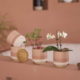 Tan/White Ceramic Planter