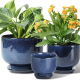Blue Footed Ceramic Planters - 3 Sizes