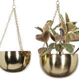 Hanging Dome Planter with Chain - 2 Sizes/2 Colors