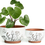 Patterned Terracotta Planter - 2 Sizes/3 Styles