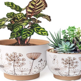 Patterned Terracotta Planter - 2 Sizes/3 Styles