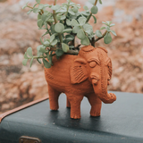 Rakshana Elephant Plant Pot - Terracotta