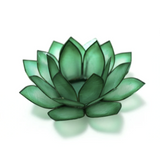 Paradise Tealight Holder - 8 Colors