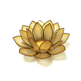 Paradise Tealight Holder - 8 Colors