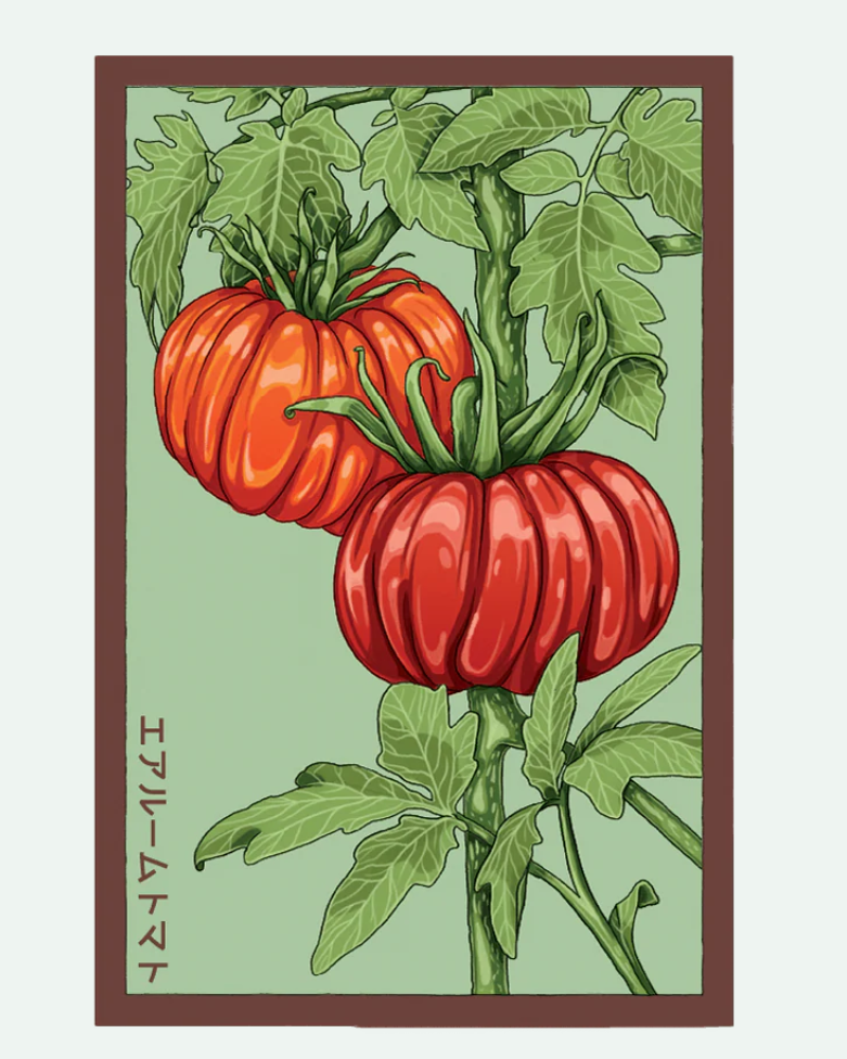 Fruit & Vegetable Seed Packets - 27 Varieties