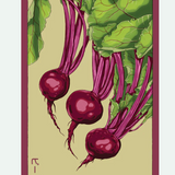 Fruit & Vegetable Seed Packets - 27 Varieties