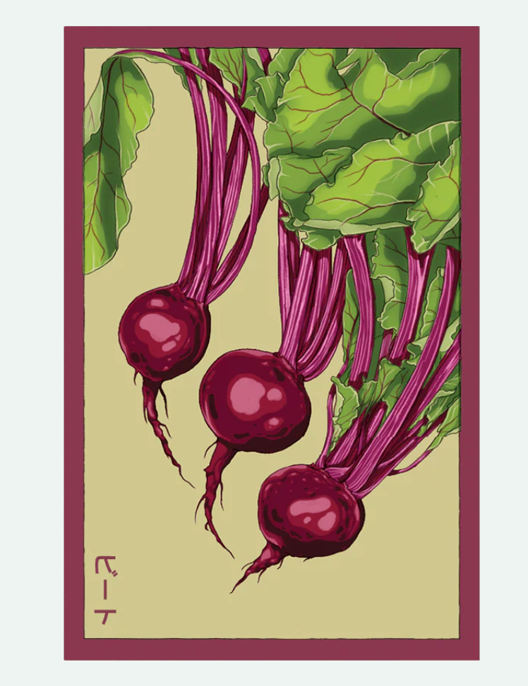 Fruit & Vegetable Seed Packets - 27 Varieties