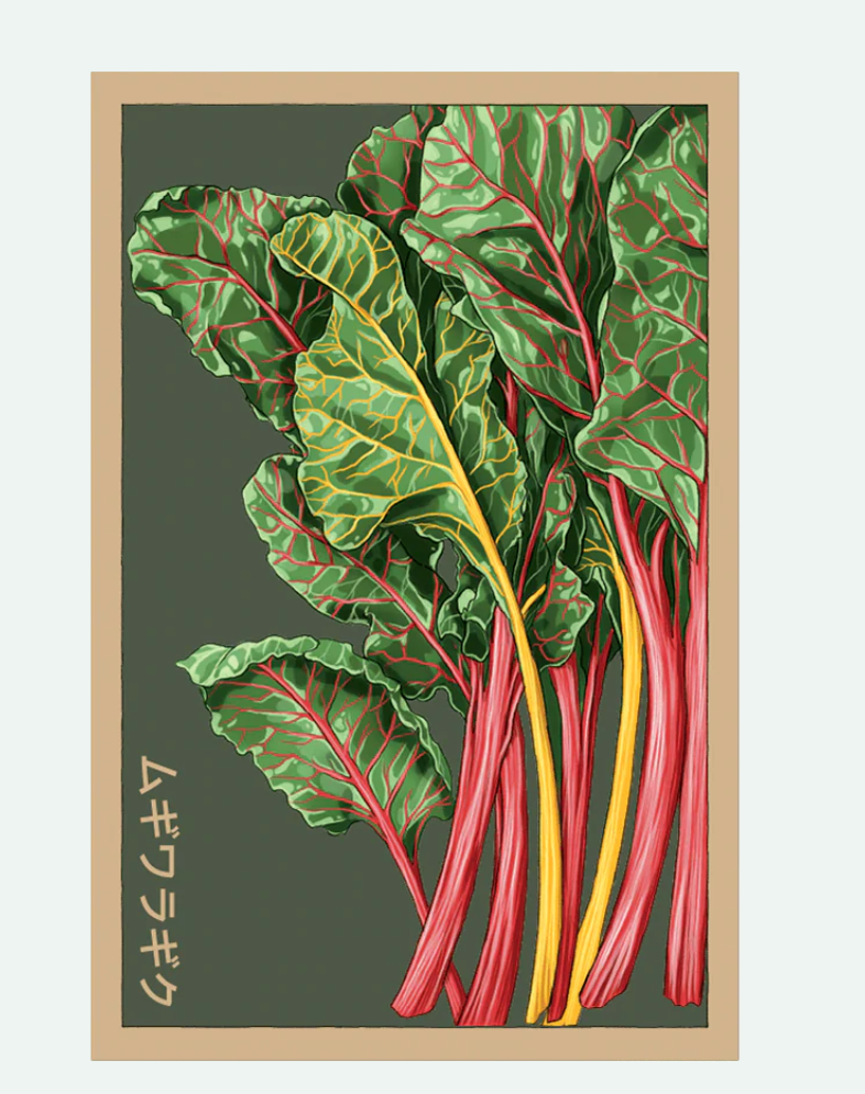 Fruit & Vegetable Seed Packets - 27 Varieties