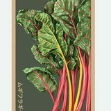 Fruit & Vegetable Seed Packets - 27 Varieties