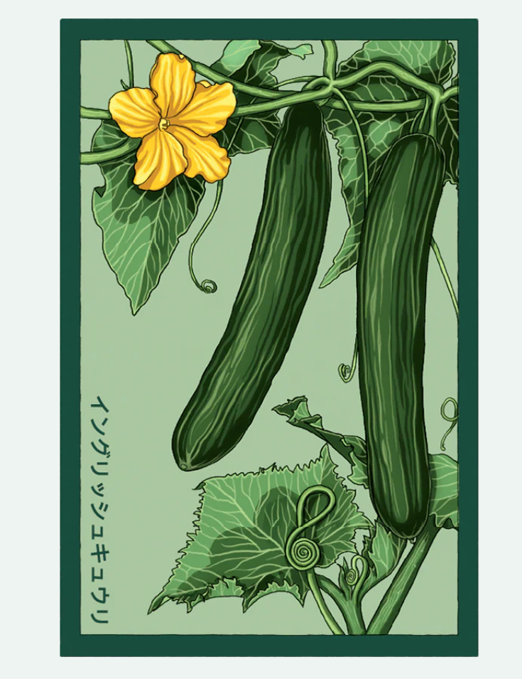 Fruit & Vegetable Seed Packets - 27 Varieties