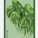 Fruit & Vegetable Seed Packets - 27 Varieties
