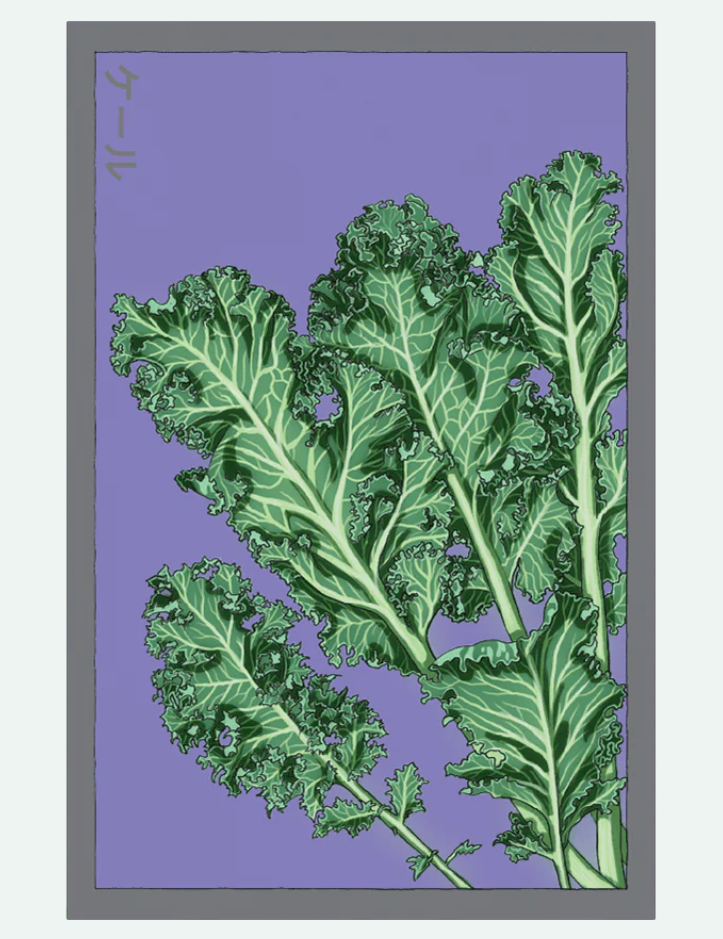 Fruit & Vegetable Seed Packets - 27 Varieties