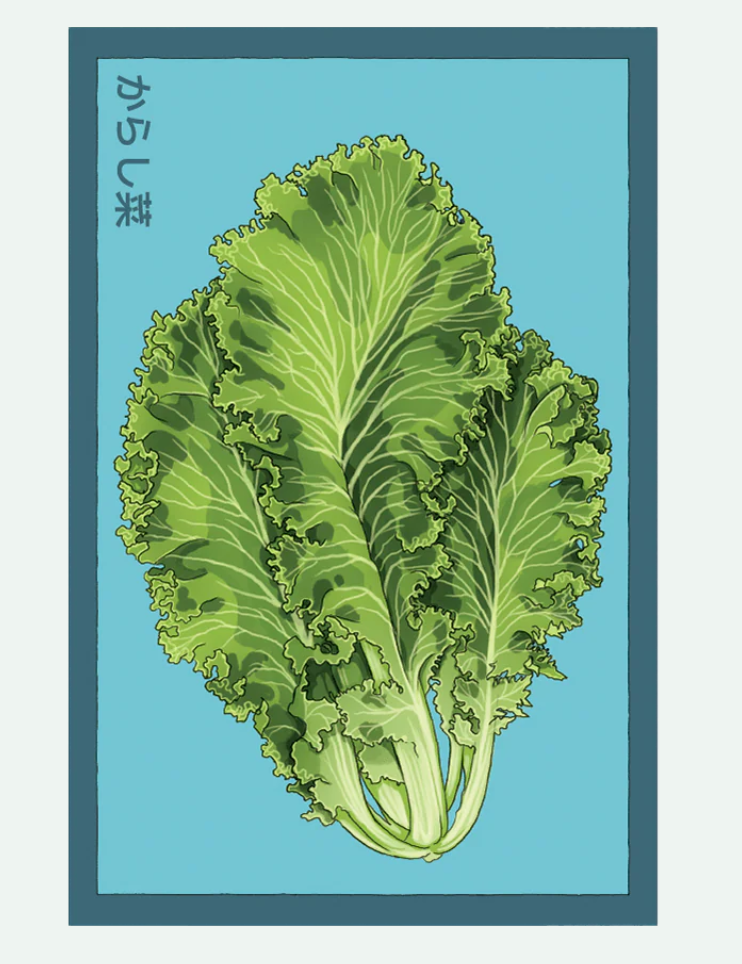 Fruit & Vegetable Seed Packets - 27 Varieties