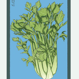 Fruit & Vegetable Seed Packets - 27 Varieties