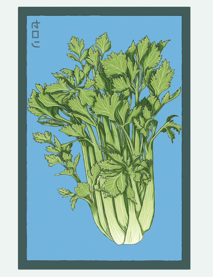 Fruit & Vegetable Seed Packets - 27 Varieties