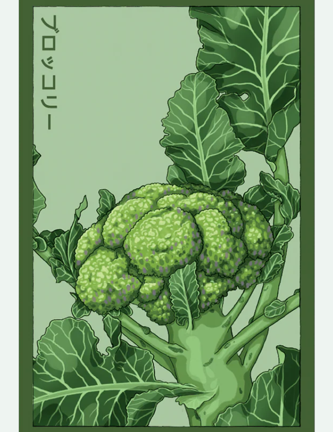 Fruit & Vegetable Seed Packets - 27 Varieties