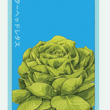 Fruit & Vegetable Seed Packets - 27 Varieties