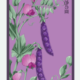 Fruit & Vegetable Seed Packets - 27 Varieties