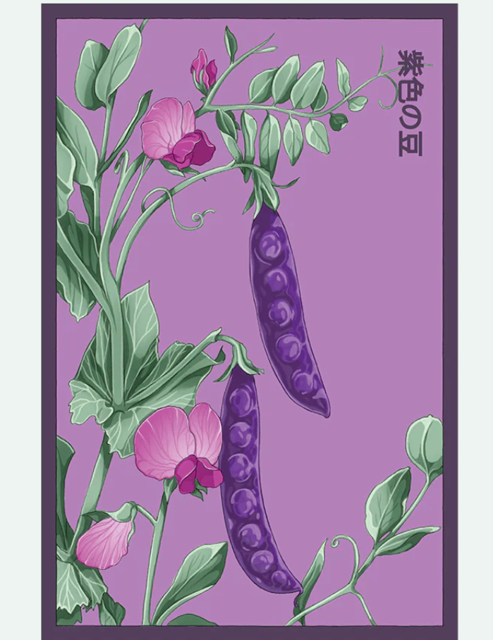 Fruit & Vegetable Seed Packets - 27 Varieties