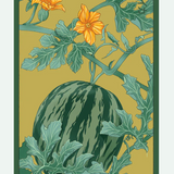 Fruit & Vegetable Seed Packets - 27 Varieties