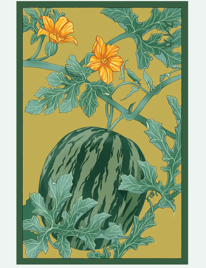 Fruit & Vegetable Seed Packets - 27 Varieties