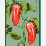 Fruit & Vegetable Seed Packets - 27 Varieties